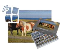 puzzleYOU : Smart Sorted® | Puzzle Photo 1000 pièces « Trois poneys Shetland sur la côte écossaise »