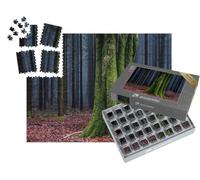 puzzleYOU : Smart Sorted® | Puzzle Photo 1000 pièces « Tronc d'arbre Couvert de Mousse dans Une forêt d'automne »