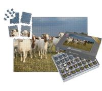 puzzleYOU : Smart Sorted® | Puzzle Photo 1000 pièces « Troupeau de chèvres et Troupeau de Moutons dans la Lande de Lunebourg »