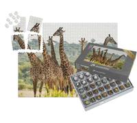 puzzleYOU : Smart Sorted® | Puzzle Photo 1000 pièces « Troupeau de girafes dans Le Parc National de Tarangire, Tanzanie »