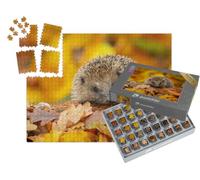 puzzleYOU : Smart Sorted® | Puzzle Photo 1000 pièces « Un Adorable hérisson dans Le Feuillage automnal »