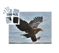 puzzleYOU : Smart Sorted® | Puzzle Photo 1000 pièces « Un Aigle de mer s'envole dans Un Ciel Bleu »