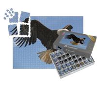 puzzleYOU : Smart Sorted® | Puzzle Photo 1000 pièces « Un Aigle Qui Vole »