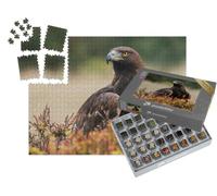 puzzleYOU : Smart Sorted® | Puzzle Photo 1000 pièces « Un Aigle Royal Regarde Autour de Lui »