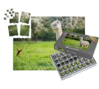 puzzleYOU : Smart Sorted® | Puzzle Photo 1000 pièces « Un alpaga Blanc avec Ses Petits »