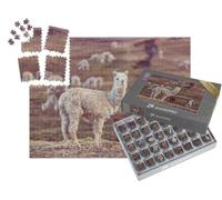puzzleYOU : Smart Sorted® | Puzzle Photo 1000 pièces « Un alpaga péruvien, Andes »