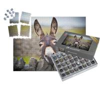 puzzleYOU : Smart Sorted® | Puzzle Photo 1000 pièces « Un âne Curieux »