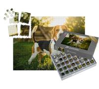 puzzleYOU : Smart Sorted® | Puzzle Photo 1000 pièces « Un Beagle au Coucher du Soleil »
