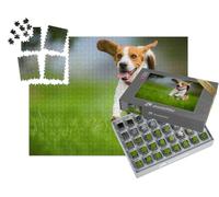 puzzleYOU : Smart Sorted® | Puzzle Photo 1000 pièces « Un Beagle au Printemps »