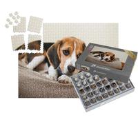 puzzleYOU : Smart Sorted® | Puzzle Photo 1000 pièces « Un Beagle avec Une friandise »