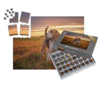 puzzleYOU : Smart Sorted® | Puzzle Photo 1000 pièces « Un Beagle se promène après la Pluie en été »