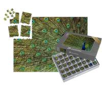 puzzleYOU : Smart Sorted® | Puzzle Photo 1000 pièces « Un Beau Paon Oiseau »