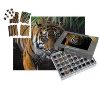 puzzleYOU : Smart Sorted® | Puzzle Photo 1000 pièces « Un Beau Tigre de Sumatra en quête de proies »
