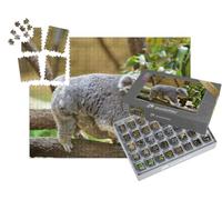 puzzleYOU : Smart Sorted® | Puzzle Photo 1000 pièces « Un bébé Koala s'accroche au Ventre de sa mère »