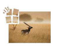 puzzleYOU : Smart Sorted® | Puzzle Photo 1000 pièces « Un bouc Noir Indien de la vallée de Chappar Rajashthan »