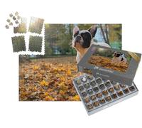 puzzleYOU : Smart Sorted® | Puzzle Photo 1000 pièces « Un Bouledogue français est Assis »