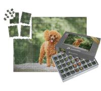 puzzleYOU : Smart Sorted® | Puzzle Photo 1000 pièces « Un Caniche Nain »