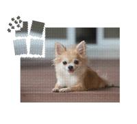 puzzleYOU : Smart Sorted® | Puzzle Photo 1000 pièces « Un Chihuahua Assis sur Le Sol »