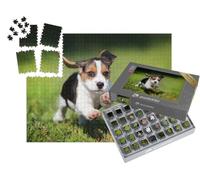 puzzleYOU : Smart Sorted® | Puzzle Photo 1000 pièces « Un Chiot Beagle dans l'herbe »