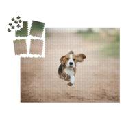 puzzleYOU : Smart Sorted® | Puzzle Photo 1000 pièces « Un Chiot Beagle dans Une arrière-Cour »