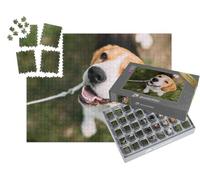 puzzleYOU : Smart Sorted® | Puzzle Photo 1000 pièces « Un Chiot Beagle sur l'herbe »