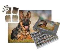 puzzleYOU : Smart Sorted® | Puzzle Photo 1000 pièces « Un Chiot Berger Allemand couché dans l'herbe »