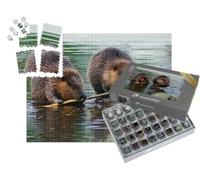 puzzleYOU : Smart Sorted® | Puzzle Photo 1000 pièces « Un Couple de castors »