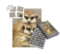 puzzleYOU : Smart Sorted® | Puzzle Photo 1000 pièces « Un Couple de surmulots à Queue Mince »