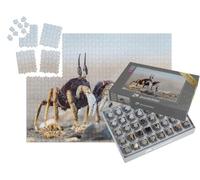 puzzleYOU : Smart Sorted® | Puzzle Photo 1000 pièces « Un Crabe Curieux sur Une Plage de Sable Fin »
