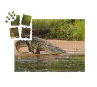 puzzleYOU : Smart Sorted® | Puzzle Photo 1000 pièces « Un Crocodile du Nil, Le Plus Grand prédateur du Nil »