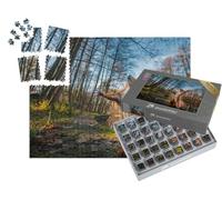 puzzleYOU : Smart Sorted® | Puzzle Photo 1000 pièces « Un drôle d'écureuil Rouge Pose dans la forêt »