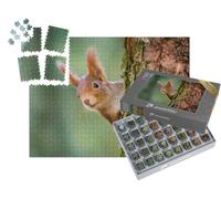 puzzleYOU : Smart Sorted® | Puzzle Photo 1000 pièces « Un écureuil Rouge Curieux Sort de derrière Le Tronc d'arbre »