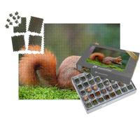 puzzleYOU : Smart Sorted® | Puzzle Photo 1000 pièces « Un écureuil Rouge Mange Une Noix sur Un Tronc de Mousse »