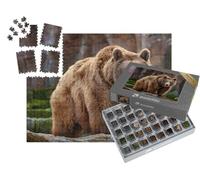 puzzleYOU : Smart Sorted® | Puzzle Photo 1000 pièces « Un Grand Ours Brun »