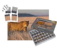 puzzleYOU : Smart Sorted® | Puzzle Photo 1000 pièces « Un guépard parcourt Son Territoire »