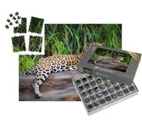 puzzleYOU : Smart Sorted® | Puzzle Photo 1000 pièces « Un Jaguar en Amazonie péruvienne »