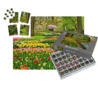 puzzleYOU : Smart Sorted® | Puzzle Photo 1000 pièces « Un Jardin de Tulipes Multicolore sous Les Arbres »