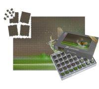 puzzleYOU : Smart Sorted® | Puzzle Photo 1000 pièces « Un Martin-pêcheur Attrape Un Poisson dans l'eau »
