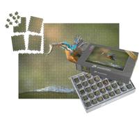 puzzleYOU : Smart Sorted® | Puzzle Photo 1000 pièces « Un Martin-pêcheur avec Un Poisson dans Le Bec Fait Son Apparition »