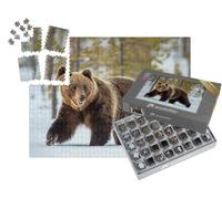 puzzleYOU : Smart Sorted® | Puzzle Photo 1000 pièces « Un Ours Brun Adulte Sauvage parcourt la forêt hivernale »