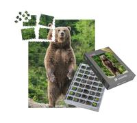puzzleYOU : Smart Sorted® | Puzzle Photo 1000 pièces « Un Ours Brun au Printemps »
