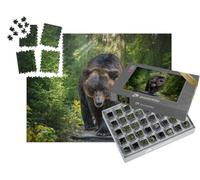 puzzleYOU : Smart Sorted® | Puzzle Photo 1000 pièces « Un Ours Brun du Kamtchatka en Gros Plan »