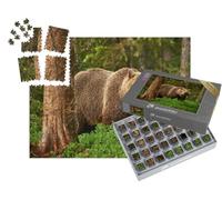 puzzleYOU : Smart Sorted® | Puzzle Photo 1000 pièces « Un Ours Brun, en liberté dans la taïga finlandaise »