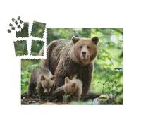 puzzleYOU : Smart Sorted® | Puzzle Photo 1000 pièces « Un Ours Brun Sauvage en Gros Plan »