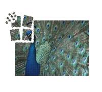 puzzleYOU : Smart Sorted® | Puzzle Photo 1000 pièces « Un Paon aux Plumes déployées »