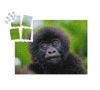 puzzleYOU : Smart Sorted® | Puzzle Photo 1000 pièces « Un Petit bébé Gorille »