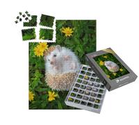 puzzleYOU : Smart Sorted® | Puzzle Photo 1000 pièces « Un Petit hérisson dans Un Jardin de Fleurs »