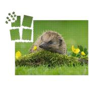 puzzleYOU : Smart Sorted® | Puzzle Photo 1000 pièces « Un Petit hérisson sur Une Colline de Mousse Verte »