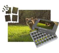 puzzleYOU : Smart Sorted® | Puzzle Photo 1000 pièces « Un Petit Raton Laveur Regarde curieusement de derrière Un Arbre »