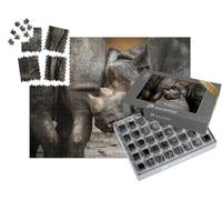 puzzleYOU : Smart Sorted® | Puzzle Photo 1000 pièces « Un Petit rhinocéros »